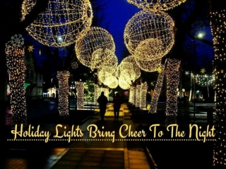 Holiday lights bring cheer to the night