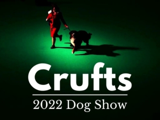 Crufts Dog Show 2022