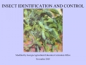INSECT IDENTIFICATION AND CONTROL