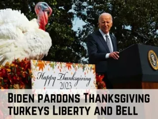 Biden pardons Thanksgiving turkeys Liberty and Bell