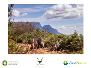 Cape Peninsula Baboon Management Plan Implementation Overview