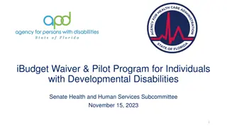 iBudget Waiver & Pilot Program for Individuals with Developmental Disabilities Overview
