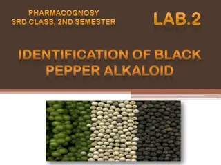 Analysis of Piperine Alkaloid Through Chemical Tests and TLC