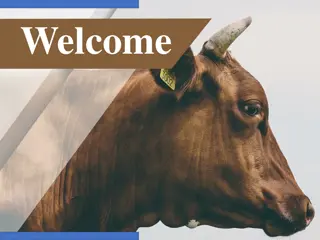 Enhancing Nutritive Value of Poor Quality Roughages: Methods and Treatments