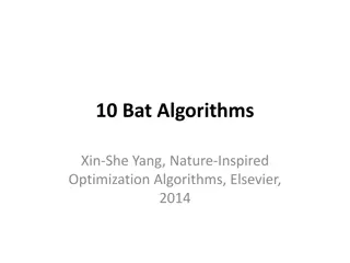 Understanding the Bat Algorithm for Optimization