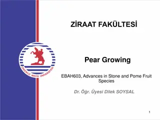 1. **Pear Cultivation: Insights and Economic Importance**
2. **Pear cultivation spans temperate regions globally, with C