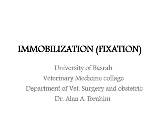 Bone Fixation Methods in Veterinary Surgery