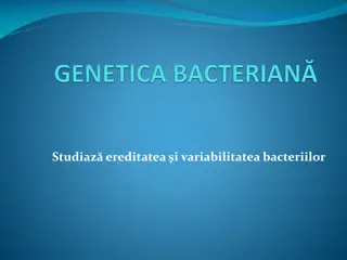 Understanding Bacterial Genetics: Heredity and Variability