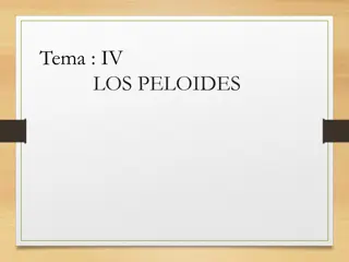 Therapeutic Use of Peloids in Pelotherapy: Characteristics and Classification