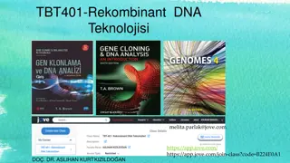 Plasmids in Gene Cloning: Essential Characteristics and Functions