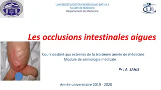 Syndrome Occlusif: Cours de Sémiologie Médicale - Université Mostefa Ben Boulaid Batna 2