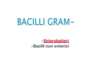 Enterobatteri: Caratteristiche, Importanza Clinica e Classificazione Sierologica