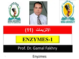 Understanding Enzymes: Highly Specific Biological Catalysts