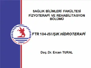 Understanding Inflammation and Pain Response in the Body