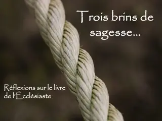 Reflections on Ecclesiastes: Wisdom, Religious Practices, and Societal Issues