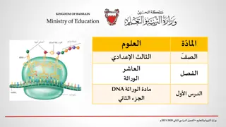 Understanding the Role of DNA and RNA in Genetics