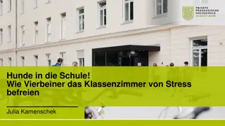 Benefits of Integrating Dogs into the Classroom for Stress Reduction and Enhancing Learning