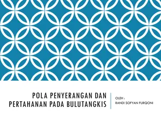 Strategies in Badminton Attack and Defense by Randi Sofyan Furqoni