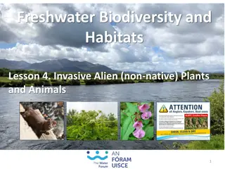 Impact of Invasive Alien Species on Freshwater Biodiversity