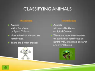 Explore the Diverse World of Vertebrates and Invertebrates in the Animal Kingdom!