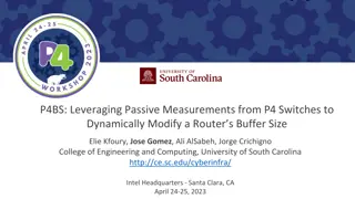 Leveraging P4 Switch Passive Measurements for Dynamic Router Buffer Sizing