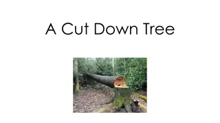 Jack and Beth's Tree-saving Adventure