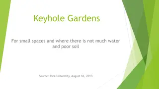 Building a Keyhole Garden: Small-Space, Low-Water, and Nutrient-Rich Gardening