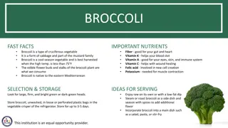 Broccoli: Nutritional Facts, Selection, and Activities to Try