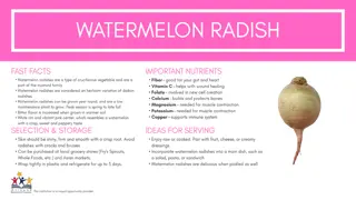 Creating Structure with Repetition