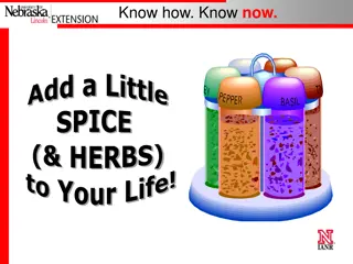 The Flavorful World of Herbs and Spices: Tips, Combinations, and More