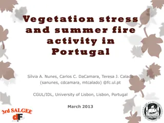 Understanding Vegetation Stress and Summer Fire Activity in Portugal