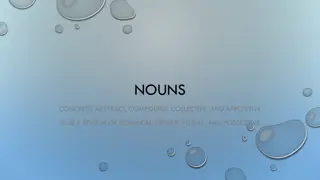 Understanding Nouns: Types, Examples, and Rules