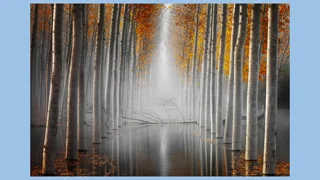 Exam System Assembly Guidelines and Procedures