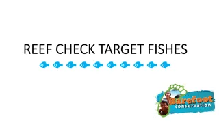 Identifying Target Fish Species on the Reef