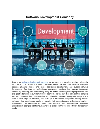 Software Development Company (19)