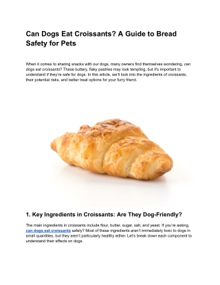 Can Dogs Eat Croissants_ A Guide to Bread Safety for Pets