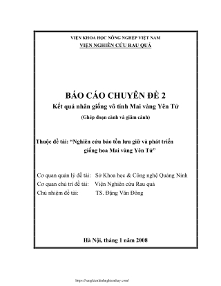 Kết quả nhân giống vô tính Mai vàng Yên Tử (Ghép đoạn cành và giâm cành)