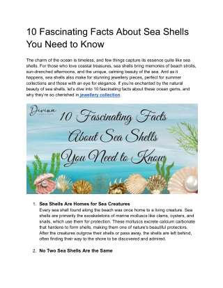 10 Fascinating Facts About Sea Shells You Need to Know