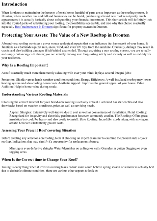 Securing Your Assets: The Market Value of a New Roof in Dronten