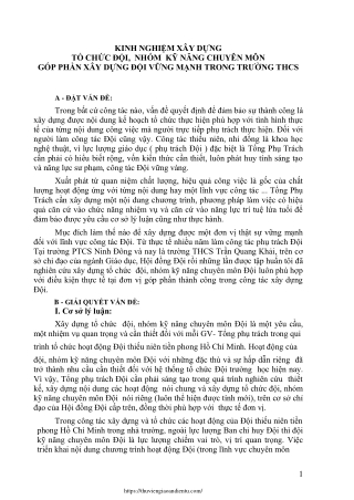 Xây dựng tổ chức đội, nhóm kỹ năng chuyên môn góp phần xây dựng Đội vững mạnh
