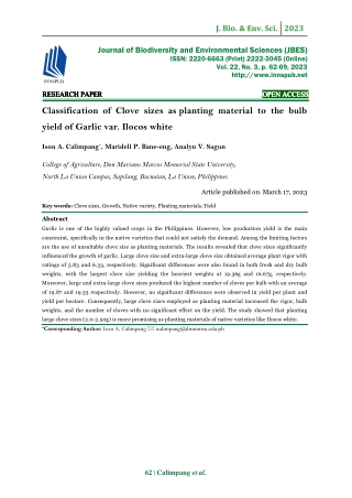 Classification of Clove sizes as planting material to the bulb yield of Garlic var. Ilocos white