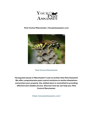 Pest Control Manchester | Yourpestassassin.com