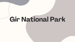 Benefits of Online Booking for Gir National Park (111