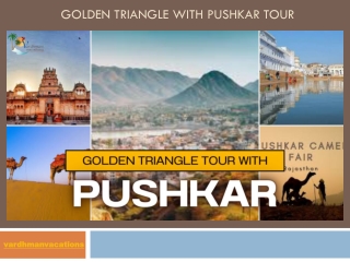 golden triangle tour with puskar