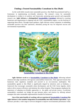 Finding a Trusted Sustainability Consultant in Abu Dhabi