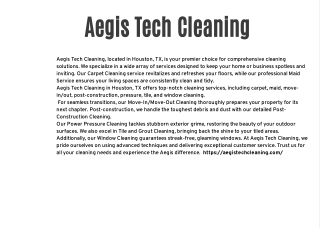 aegis tech expert cleaning services