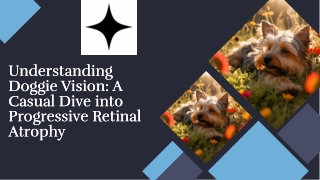 Dog Progressive Retinal Atrophy
