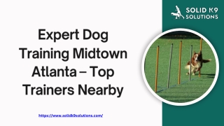 Expert Dog Training Midtown Atlanta – Top Trainers Nearby