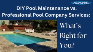 DIY Pool Maintenance vs Professional Pool Company Services What’s Right for You