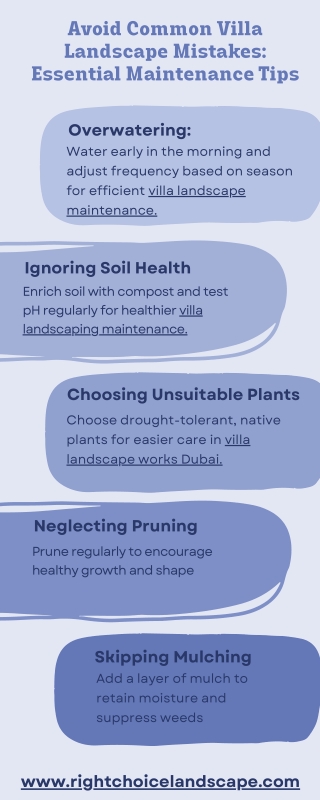 Avoid Common Villa Landscape Mistakes Essential Maintenance Tips (1)